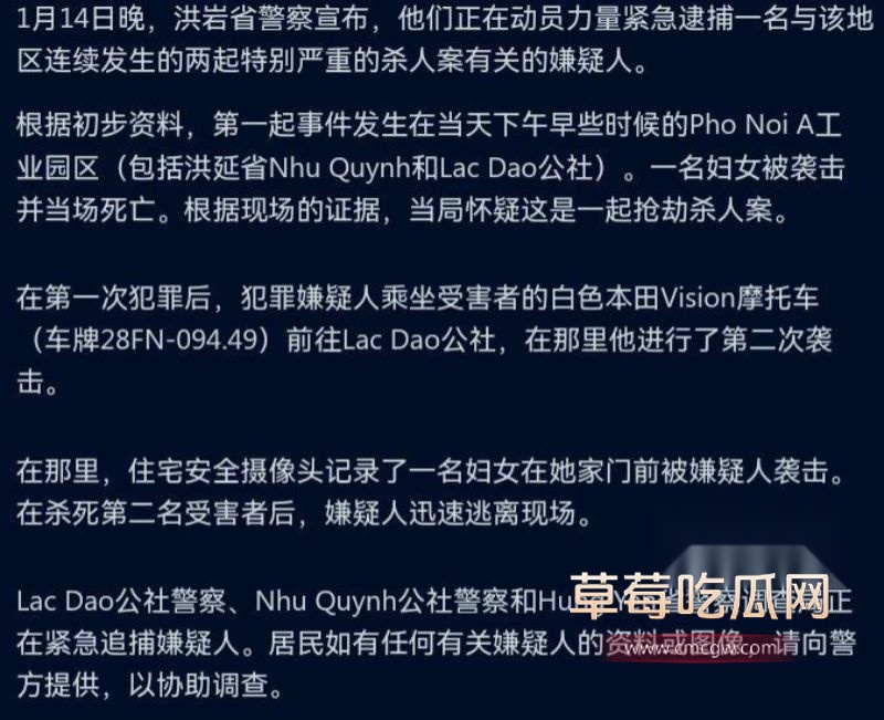 越南杀人事件详细说明1