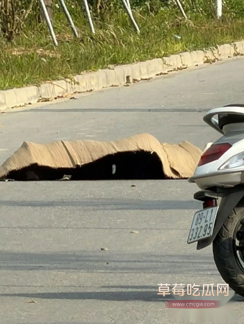 越南杀人事件详细说明2