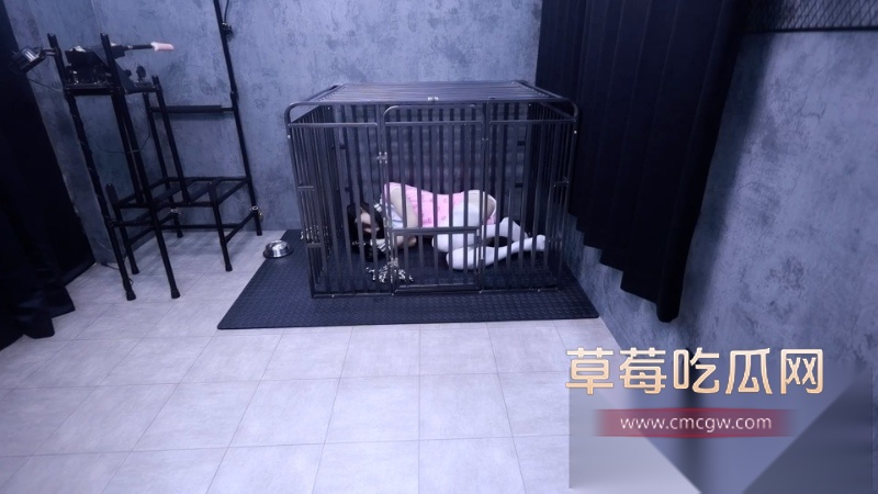 lemon调教BDSM极品奴隶全过程 1 lemon调教BDSM极品奴隶全过程 1