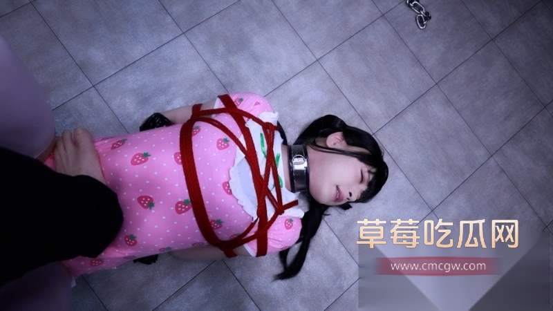 lemon调教BDSM极品奴隶全过程 8 lemon调教BDSM极品奴隶全过程 8