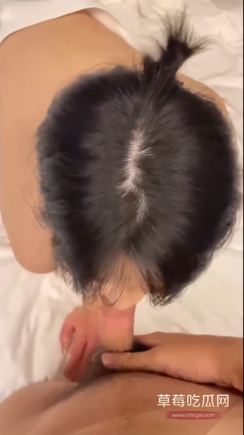 总华探长的小狗 13 总华探长的小狗 13