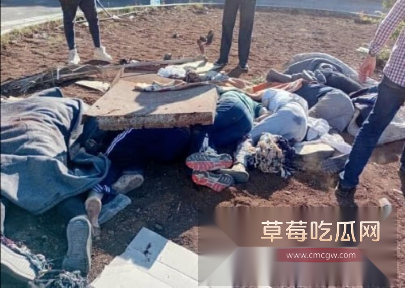叙利亚惊现大量女兵被虐杀 ISIS极端恐怖组织 4