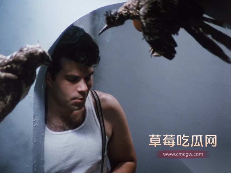 肉欲咖啡馆 Café Flesh 1985 肉欲咖啡馆 Café Flesh 1985