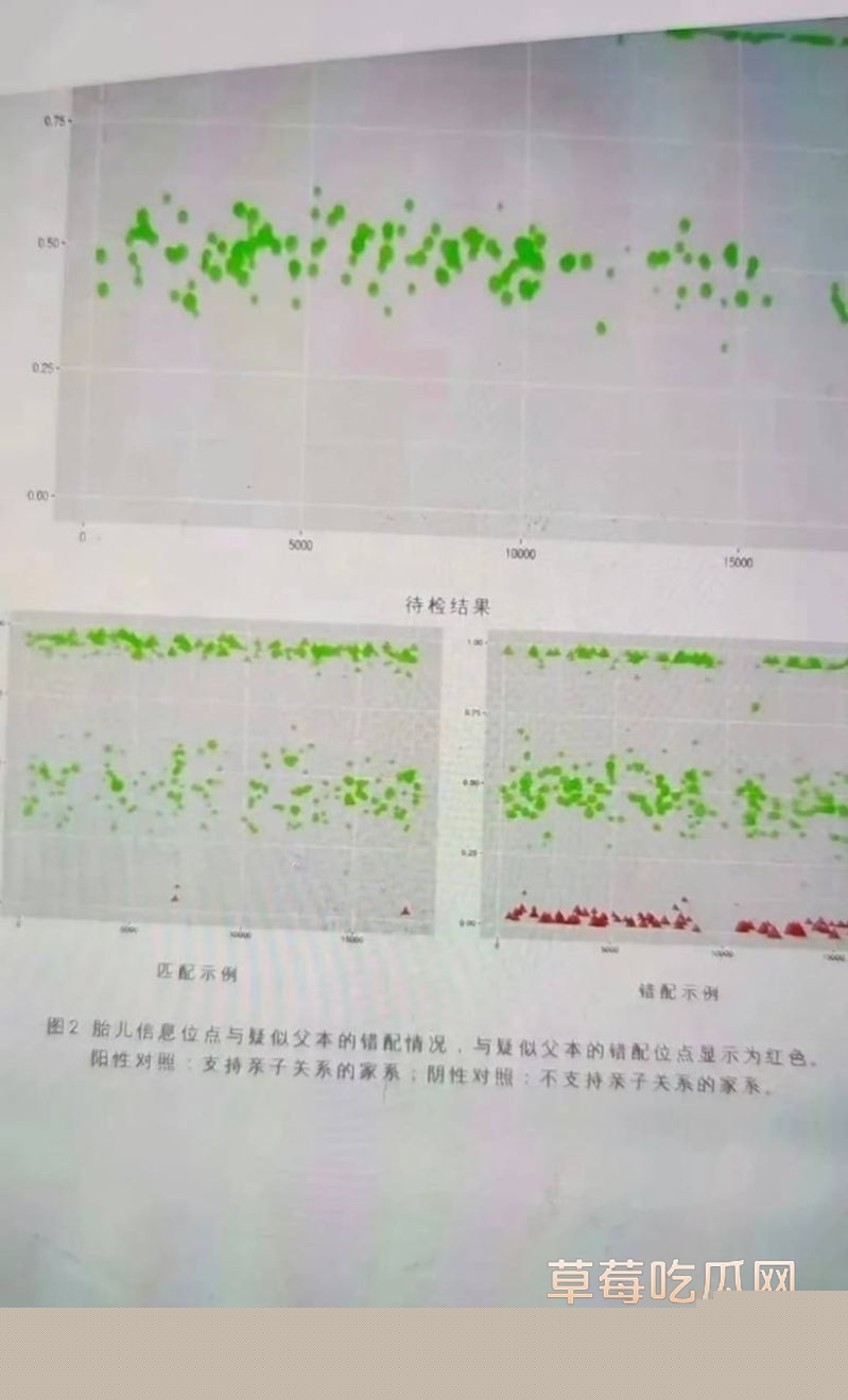 广发300亿经理谭珺怀孕事件17