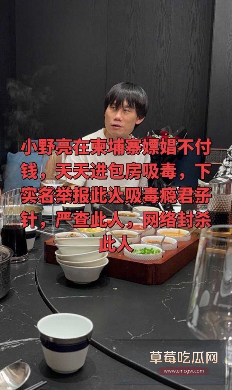 东瀛小野亮 14