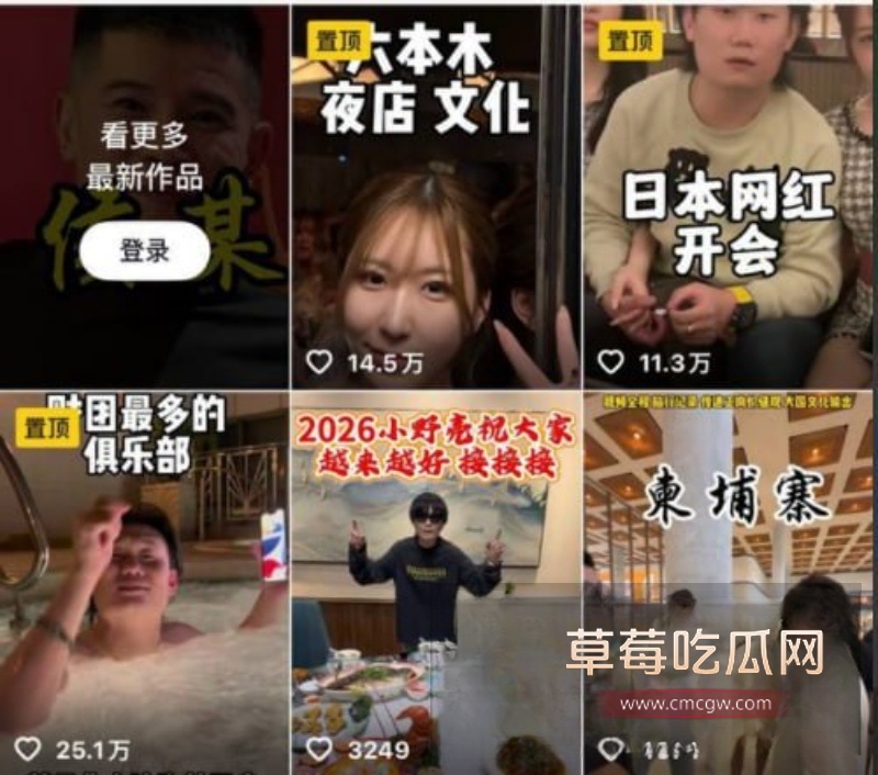 东瀛小野亮 29