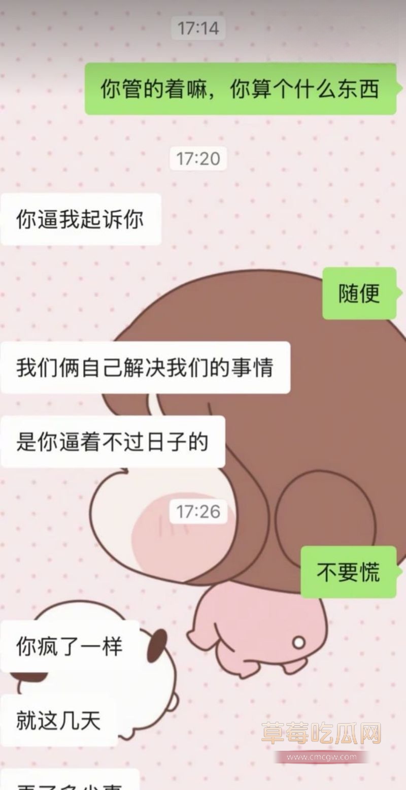 出轨男和老婆的聊天对话7 出轨男和老婆的聊天对话7