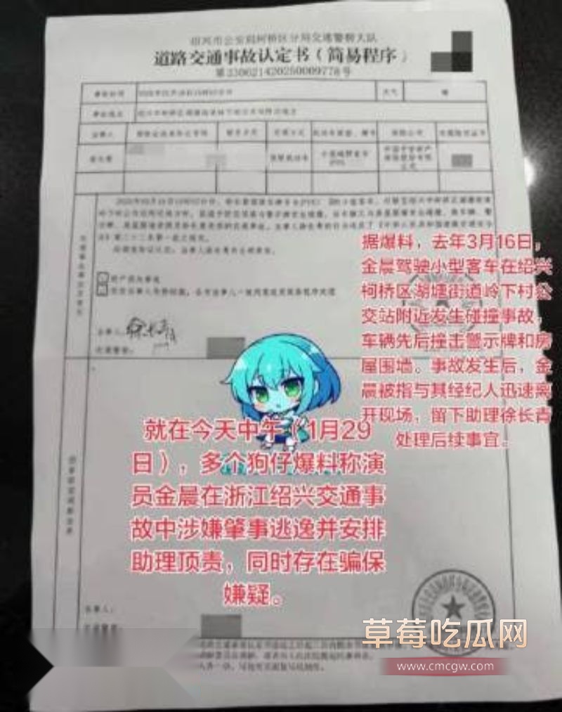 金晨肇事逃逸后助理顶包1 金晨肇事逃逸后助理顶包1