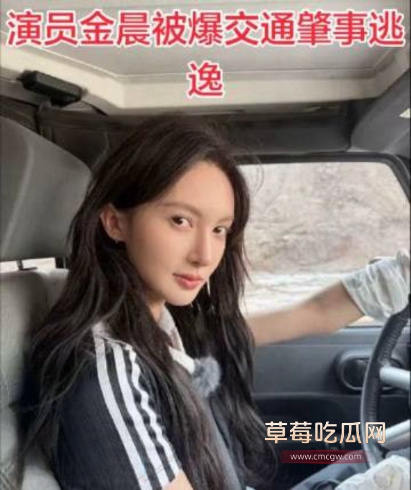 金晨肇事逃逸后助理顶包2 金晨肇事逃逸后助理顶包2