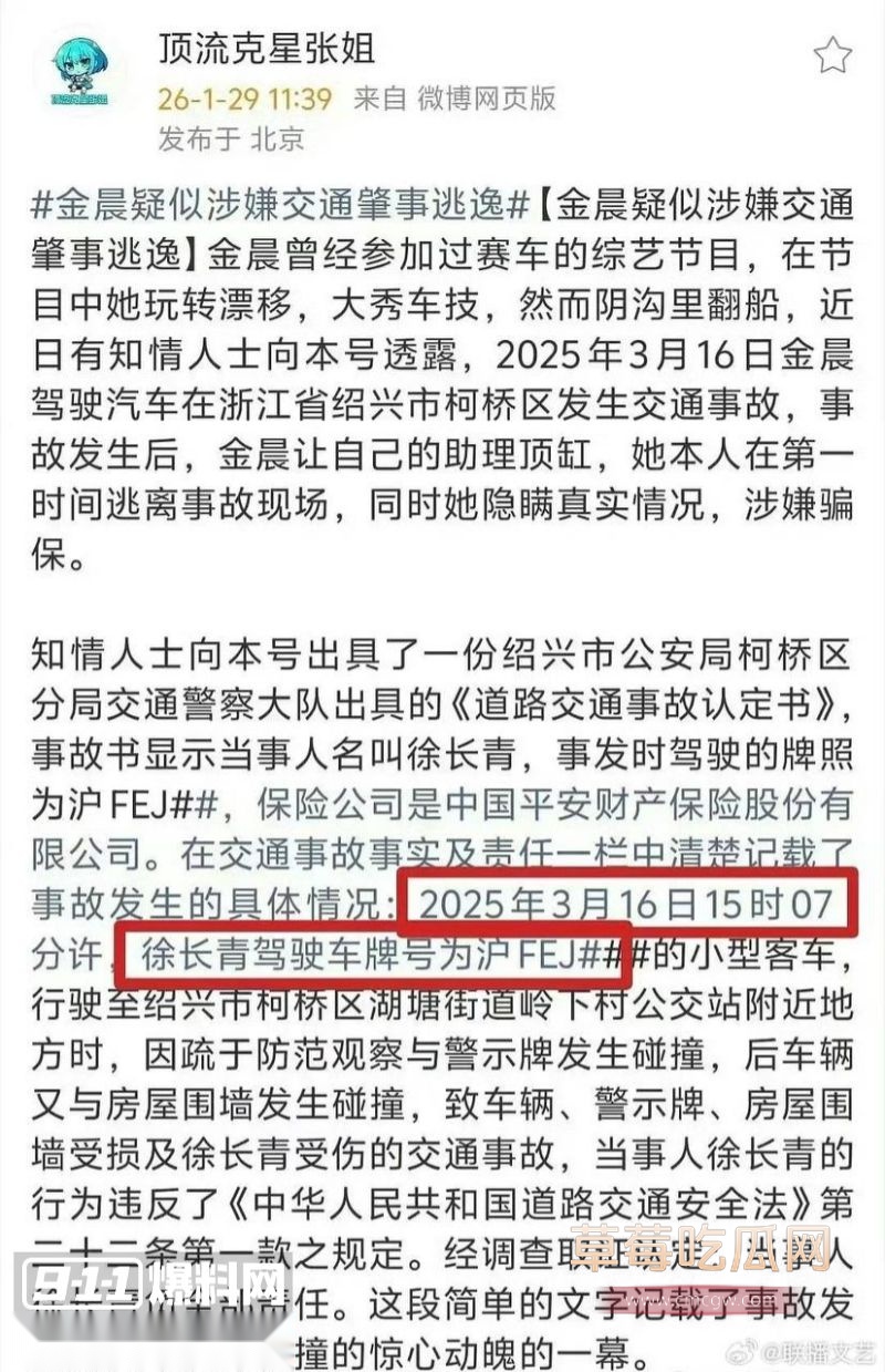 金晨肇事逃逸后助理顶包3 金晨肇事逃逸后助理顶包3