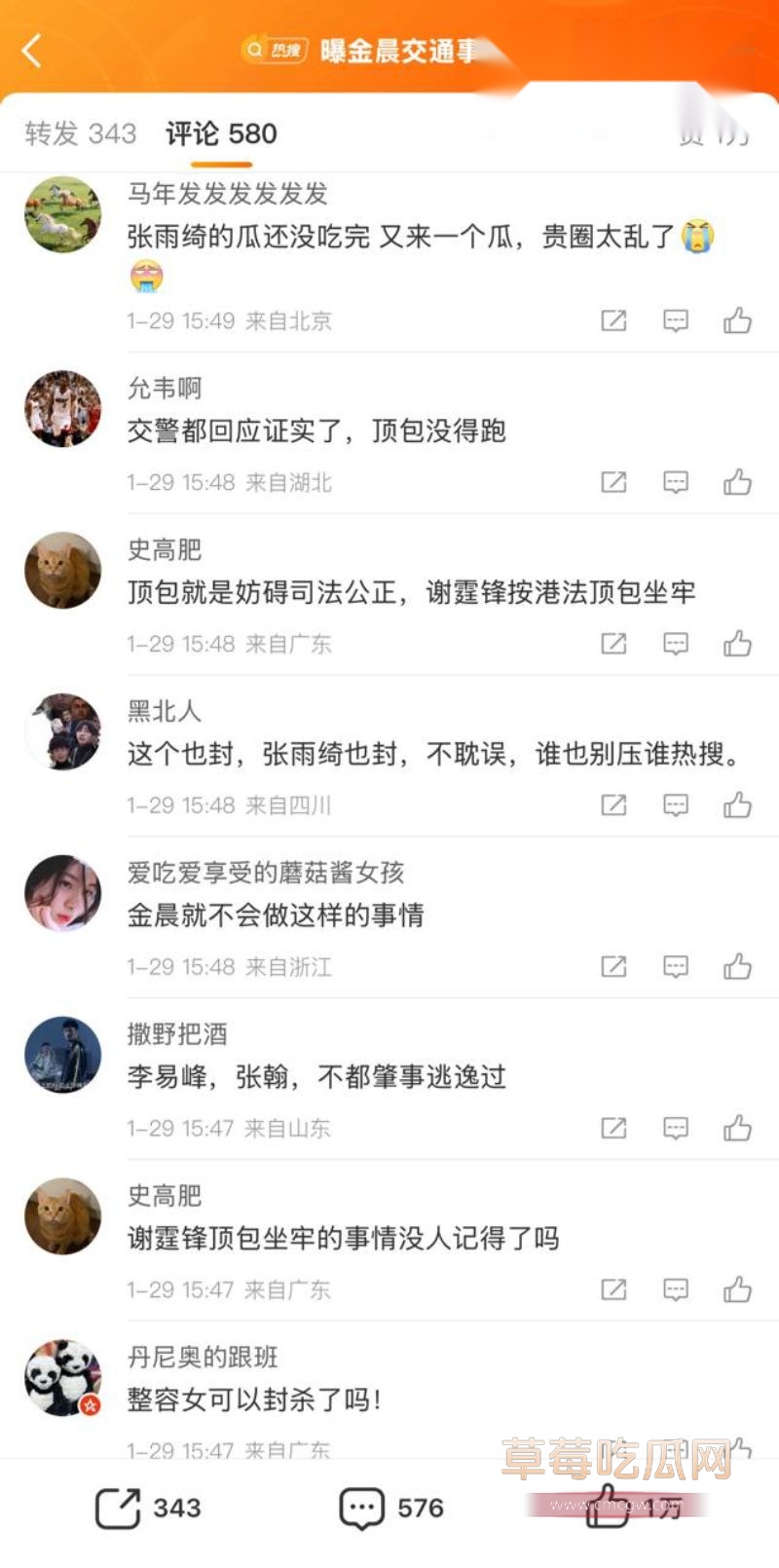 金晨肇事逃逸引起网友广泛关注1 金晨肇事逃逸引起网友广泛关注1