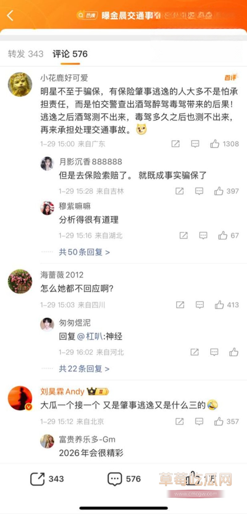 金晨肇事逃逸引起网友广泛关注2 金晨肇事逃逸引起网友广泛关注2
