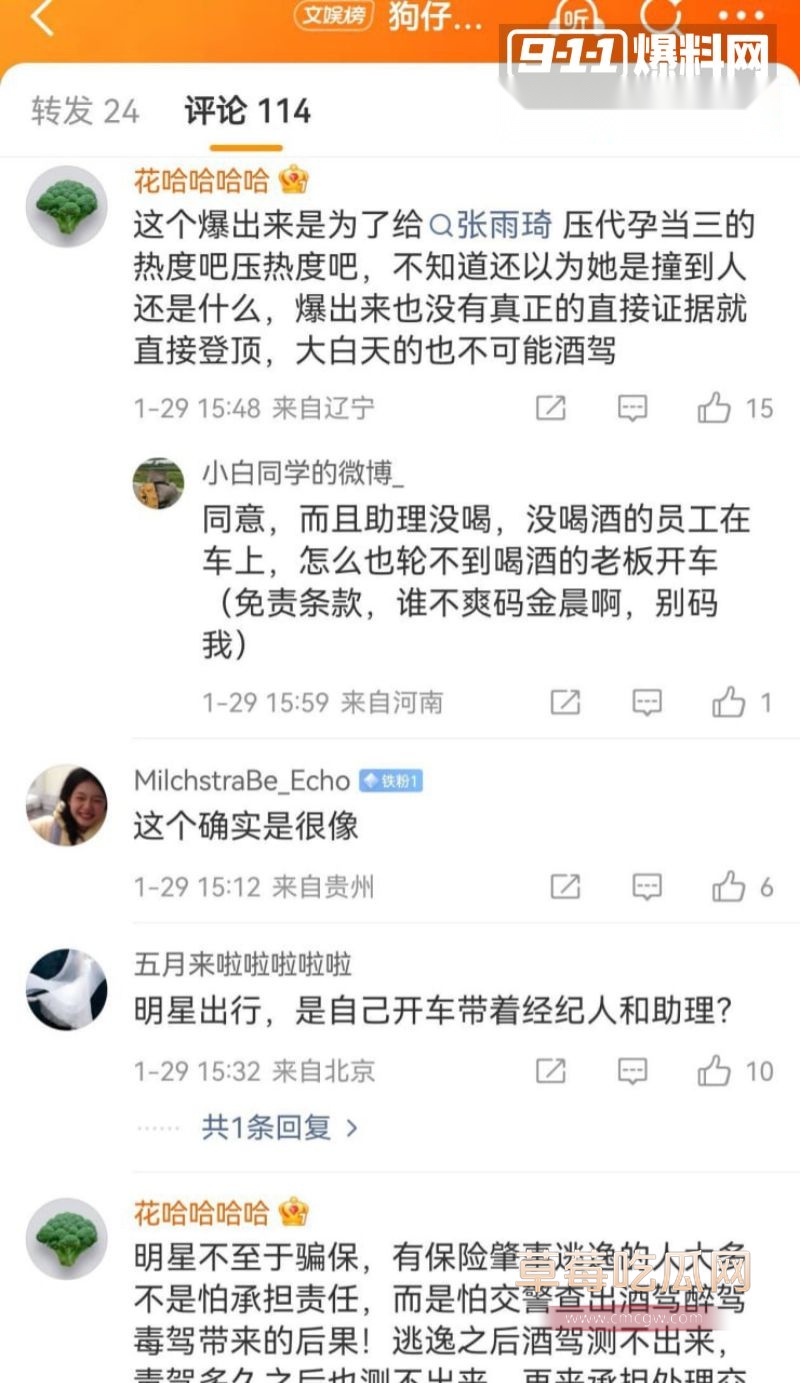 金晨肇事逃逸引起网友广泛关注4 金晨肇事逃逸引起网友广泛关注4