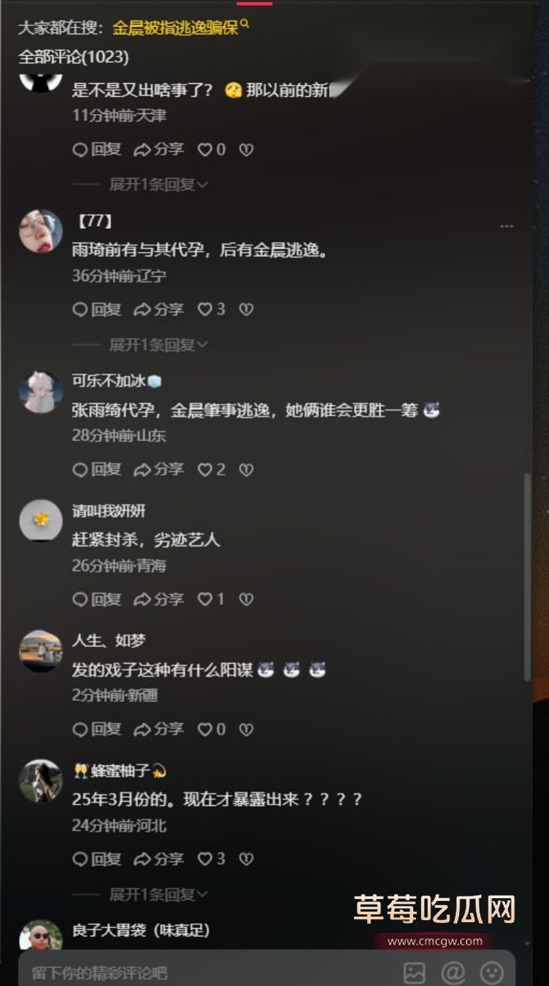 金晨肇事逃逸引起网友广泛关注6 金晨肇事逃逸引起网友广泛关注6
