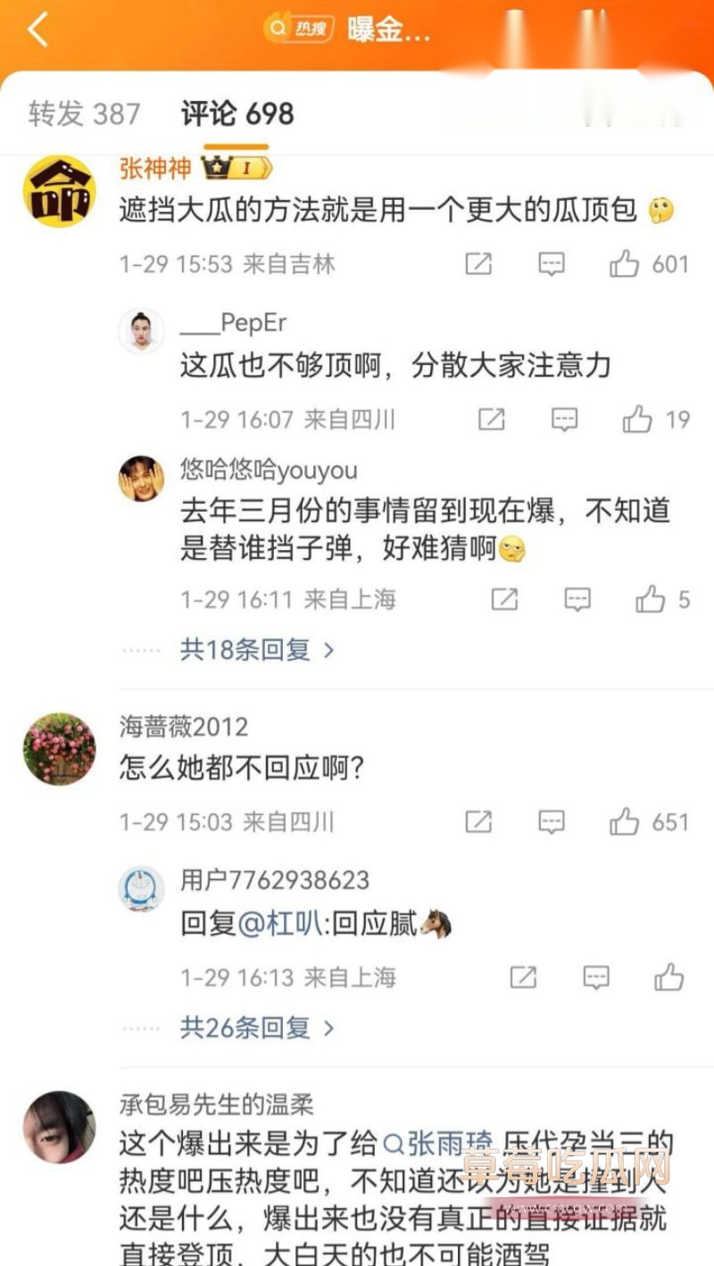 金晨肇事逃逸引起网友广泛关注7 金晨肇事逃逸引起网友广泛关注7
