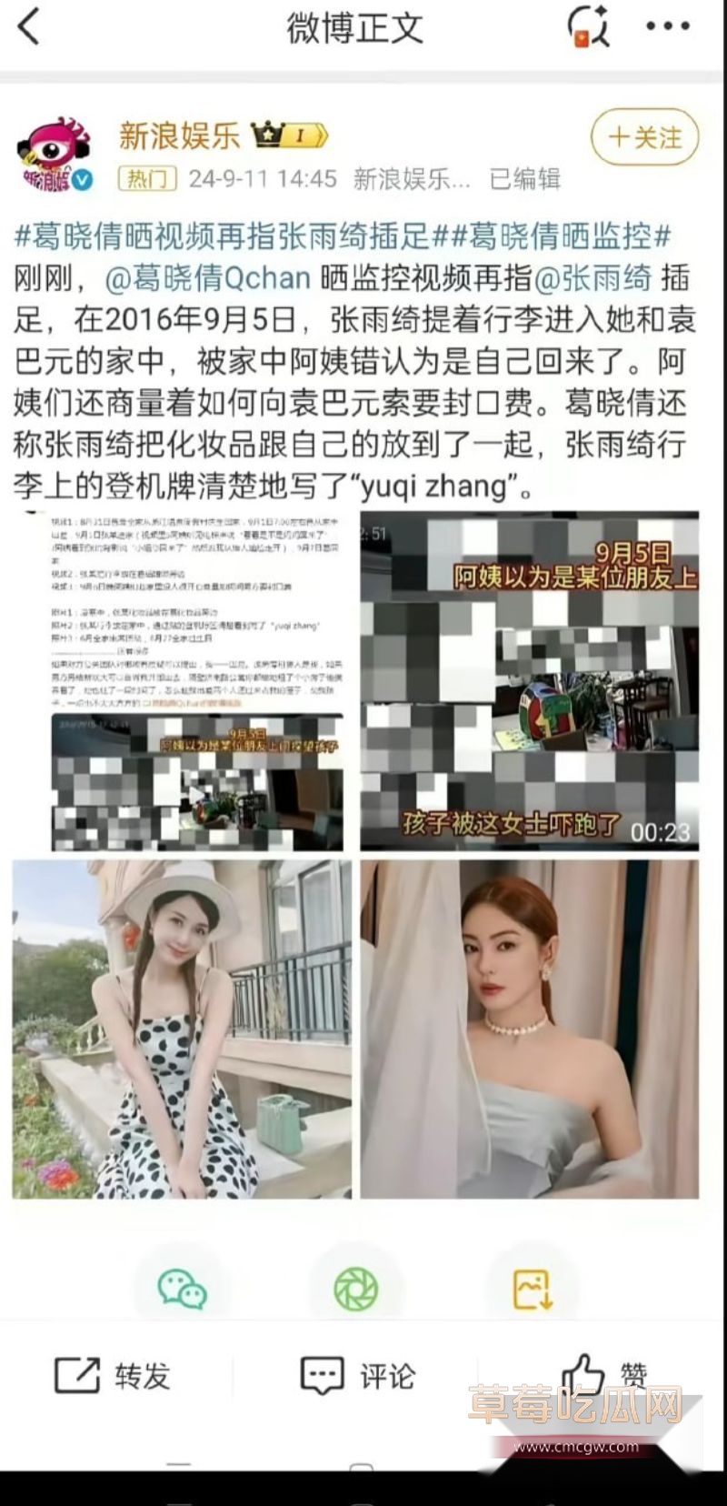 张雨绮代孕黑料被葛晓倩爆料10 张雨绮代孕黑料被葛晓倩爆料10