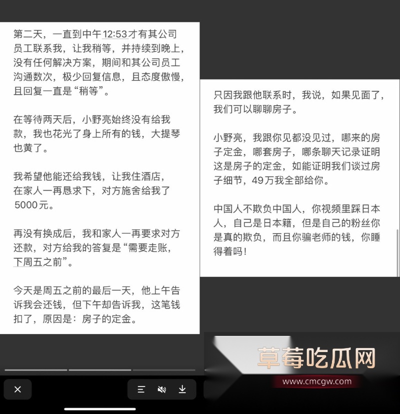 百万粉丝网红东瀛小野亮柬埔寨狂欢翻车 4