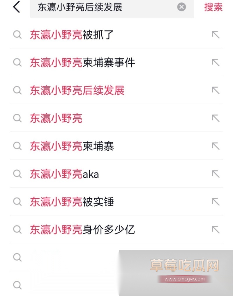 百万粉丝网红东瀛小野亮柬埔寨狂欢翻车 11