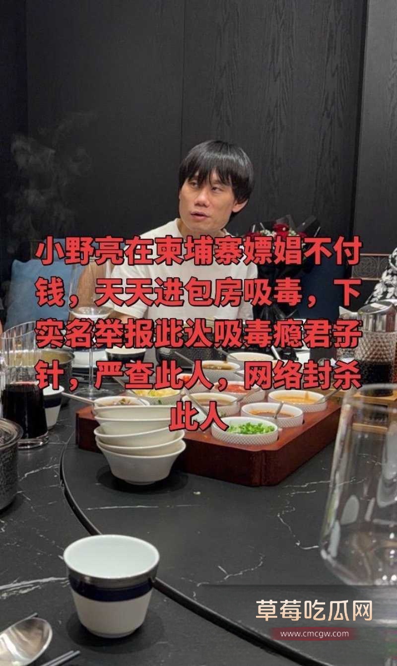 百万粉丝网红东瀛小野亮柬埔寨狂欢翻车 17