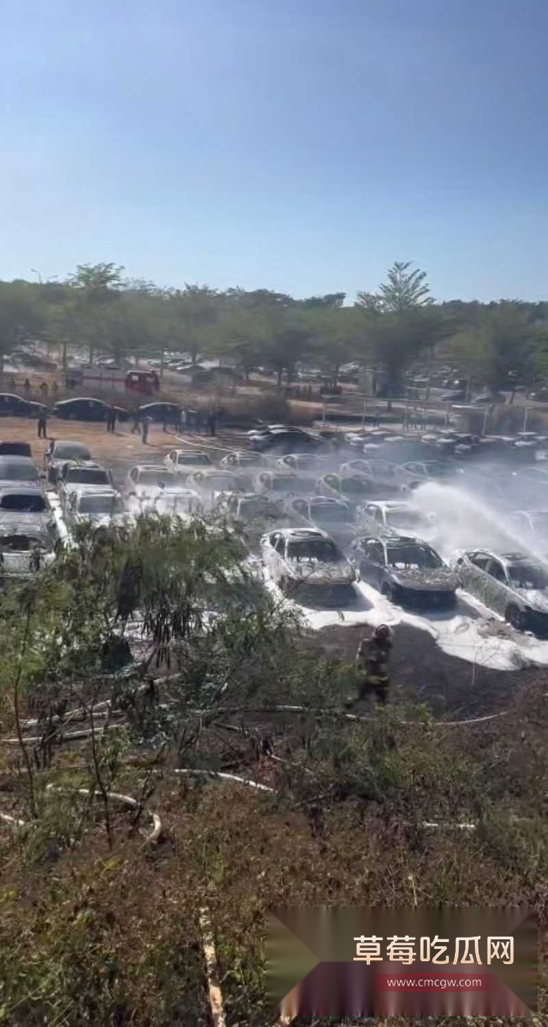 停车场突发大火 2 停车场突发大火 2