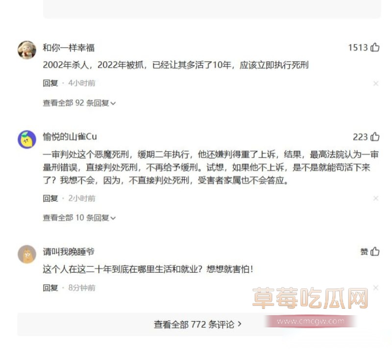网友评论以及案件详情10 网友评论以及案件详情10