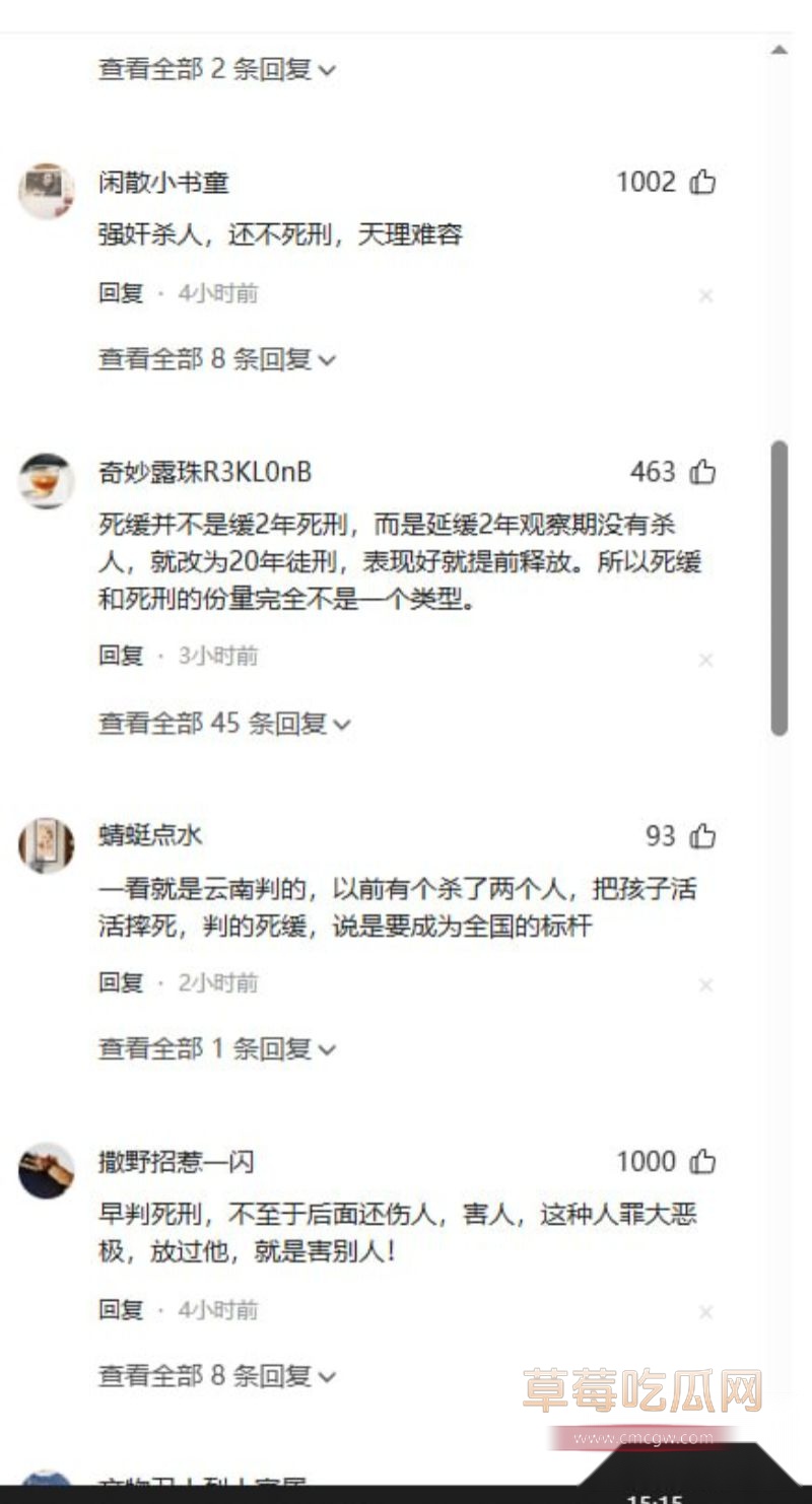 网友评论以及案件详情12 网友评论以及案件详情12