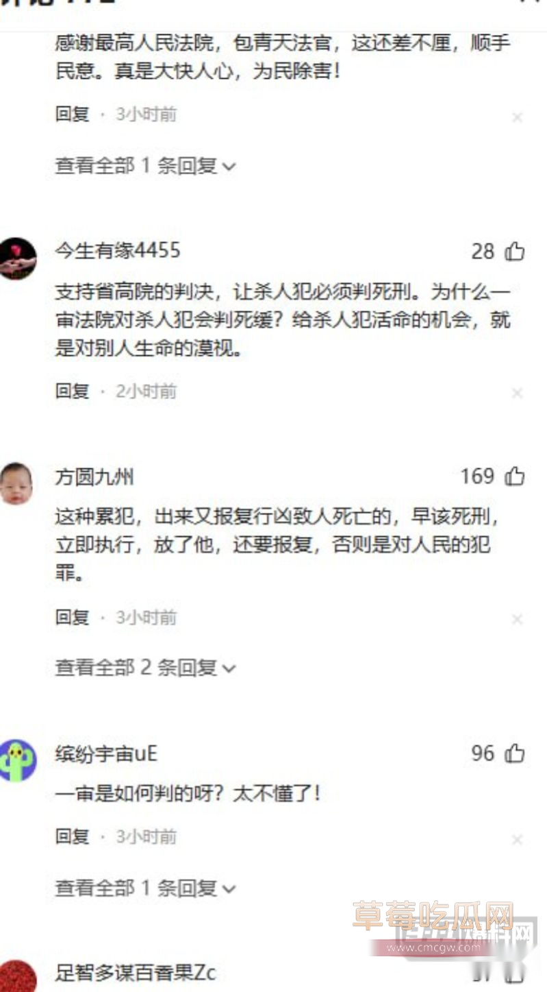 网友评论以及案件详情13 网友评论以及案件详情13