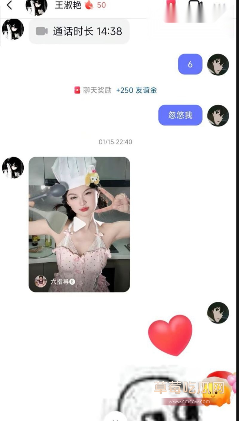 王淑艳的聊天记录以及网友评价10