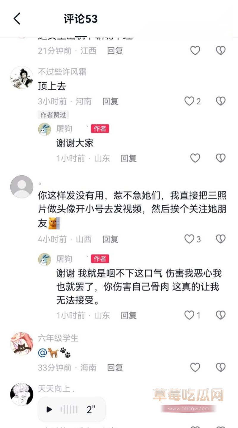 王淑艳的聊天记录以及网友评价14
