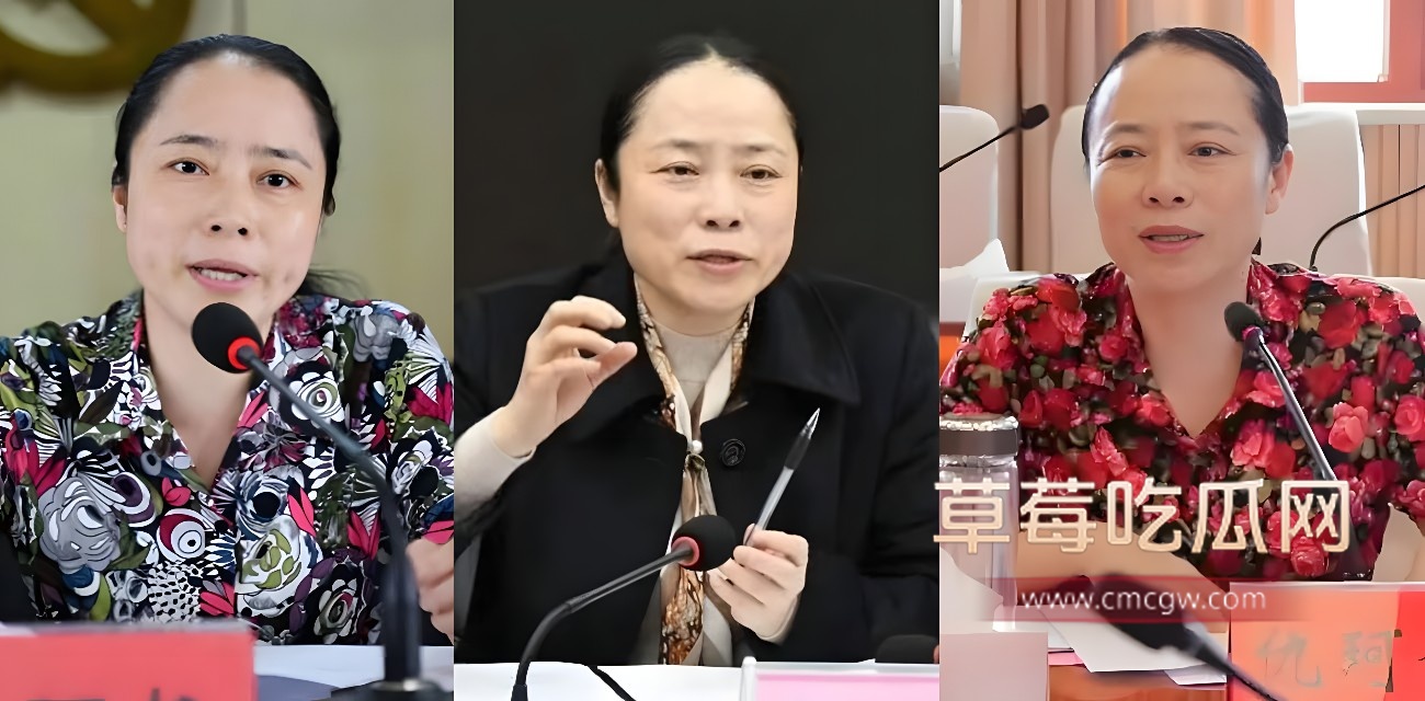 最美副市长仇珂静大搞贪腐还沉迷男色.jpg 最美副市长仇珂静大搞贪腐还沉迷男色.jpg