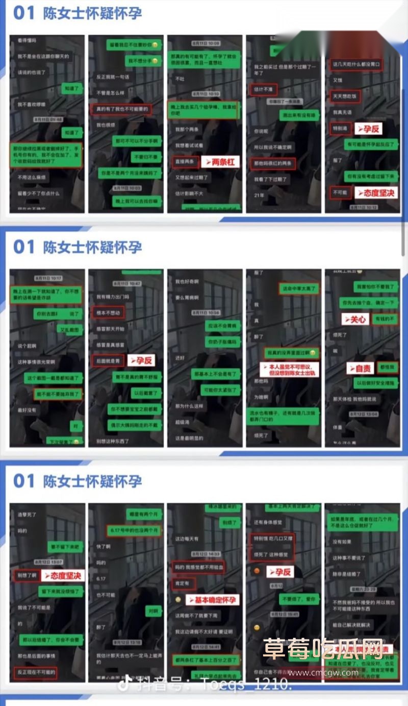 织里轧村陈女士出轨事件PPT3 织里轧村陈女士出轨事件PPT3