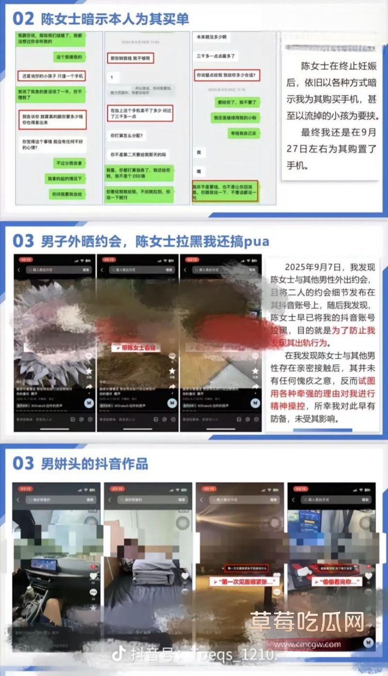 织里轧村陈女士出轨事件PPT4 织里轧村陈女士出轨事件PPT4