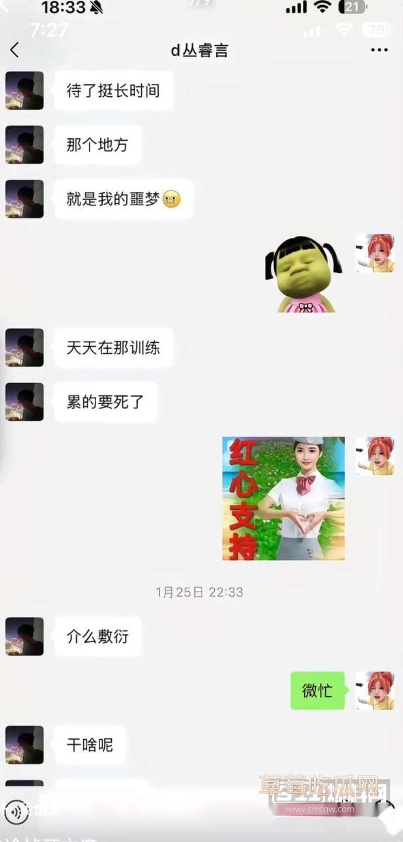 丛睿言事件相关的聊天记录9 丛睿言事件相关的聊天记录9