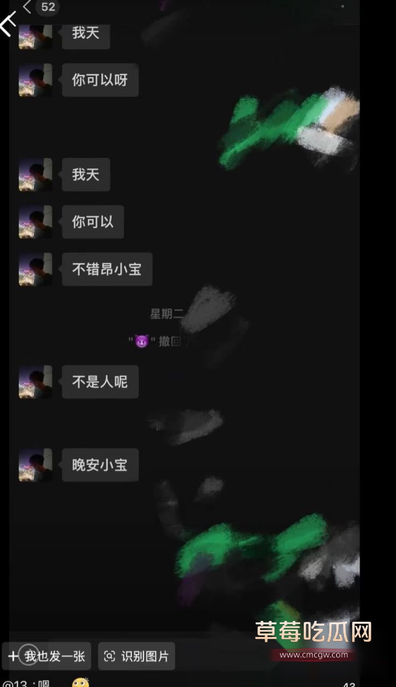 丛睿言事件相关的聊天记录12 丛睿言事件相关的聊天记录12
