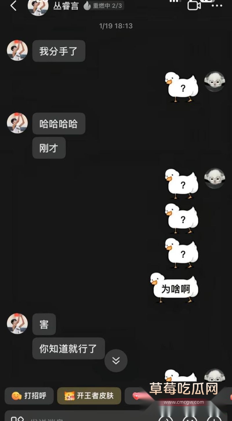丛睿言事件相关的聊天记录23 丛睿言事件相关的聊天记录23