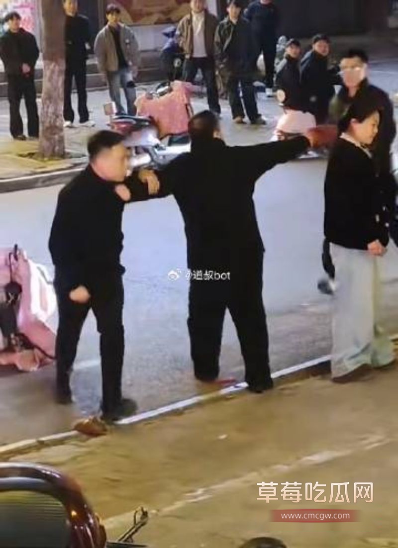 河南平顶山暴力事件6