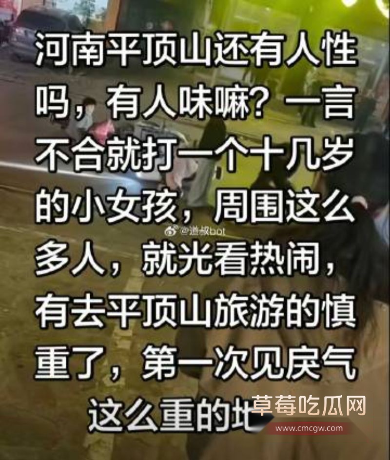 河南平顶山暴力事件7