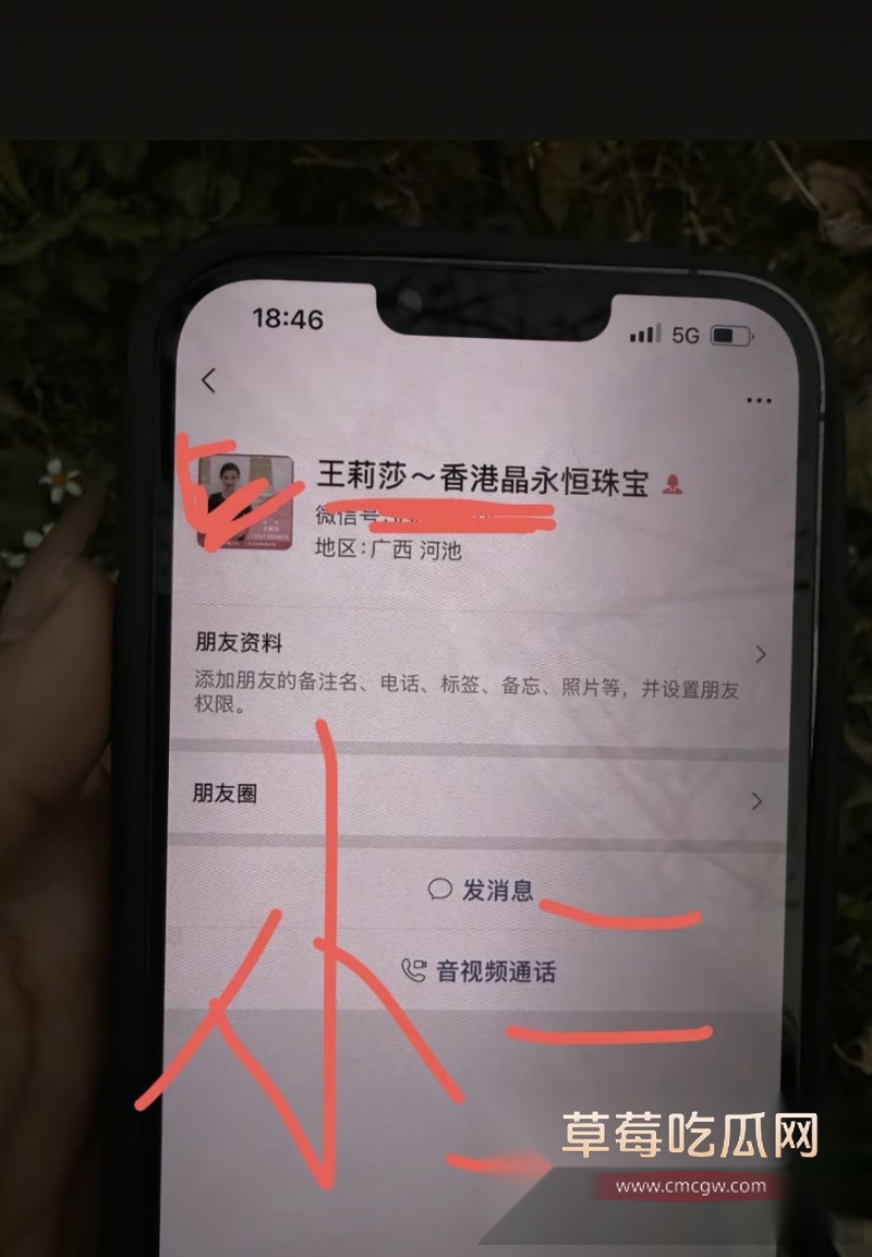 广西河池 香港晶永恒珠宝珠宝王莉莎 29 广西河池 香港晶永恒珠宝珠宝王莉莎 29