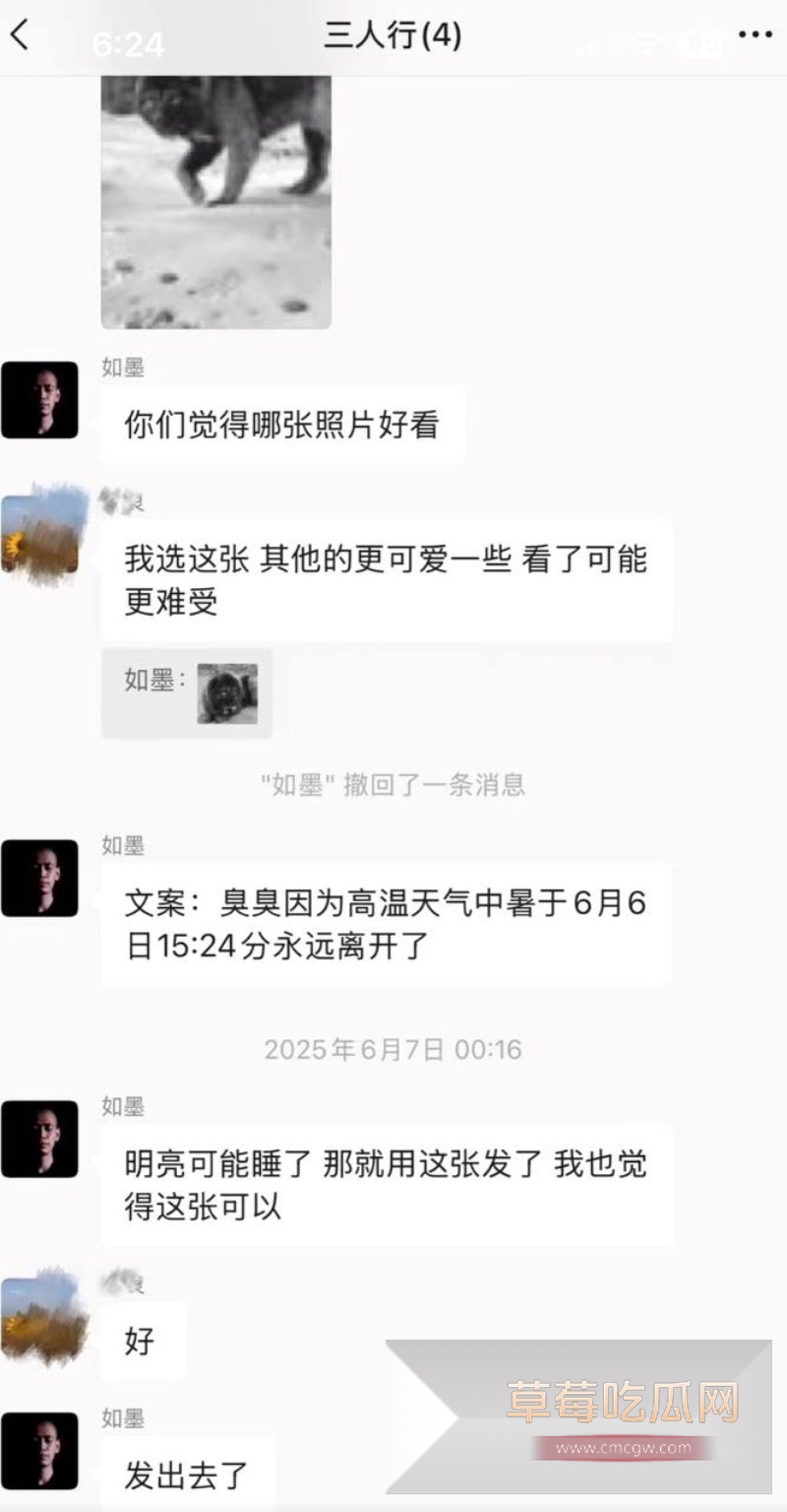 骏良 14 骏良 14