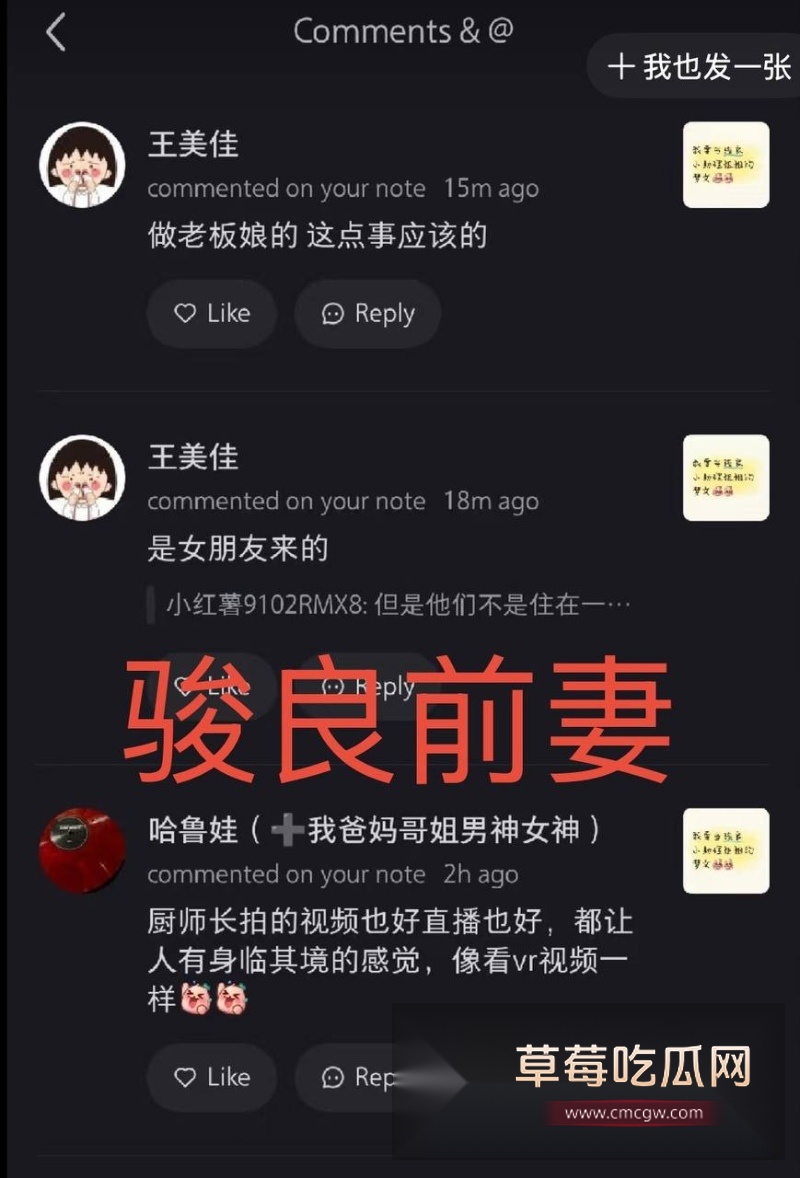 骏良 28 骏良 28