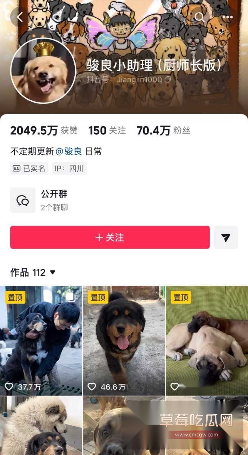 骏良 35 骏良 35