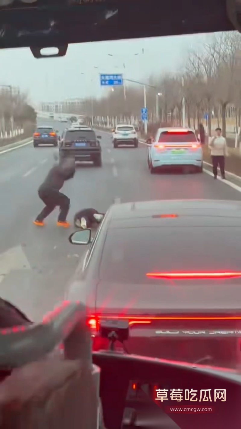 河北公路惊现 斧头砍人 1