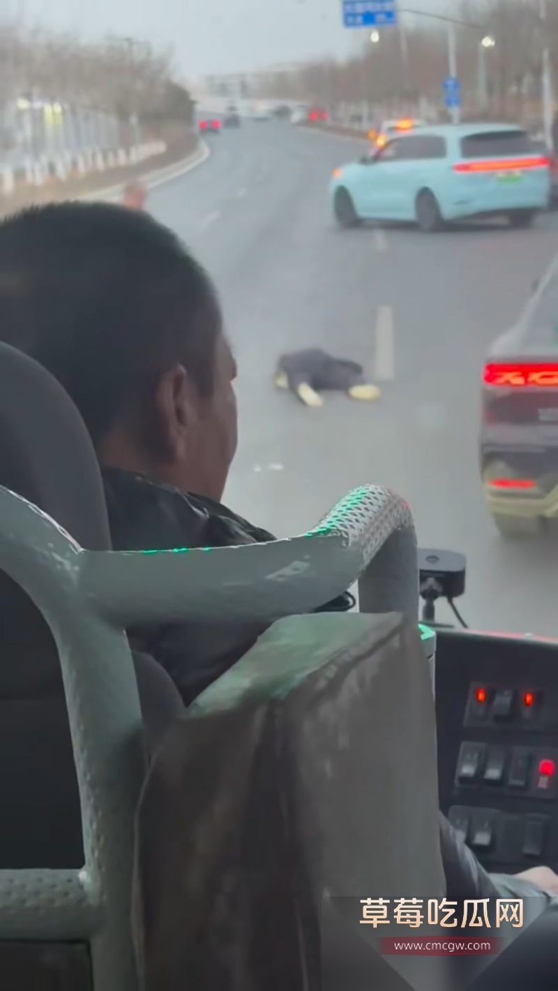 河北公路惊现 斧头砍人 3