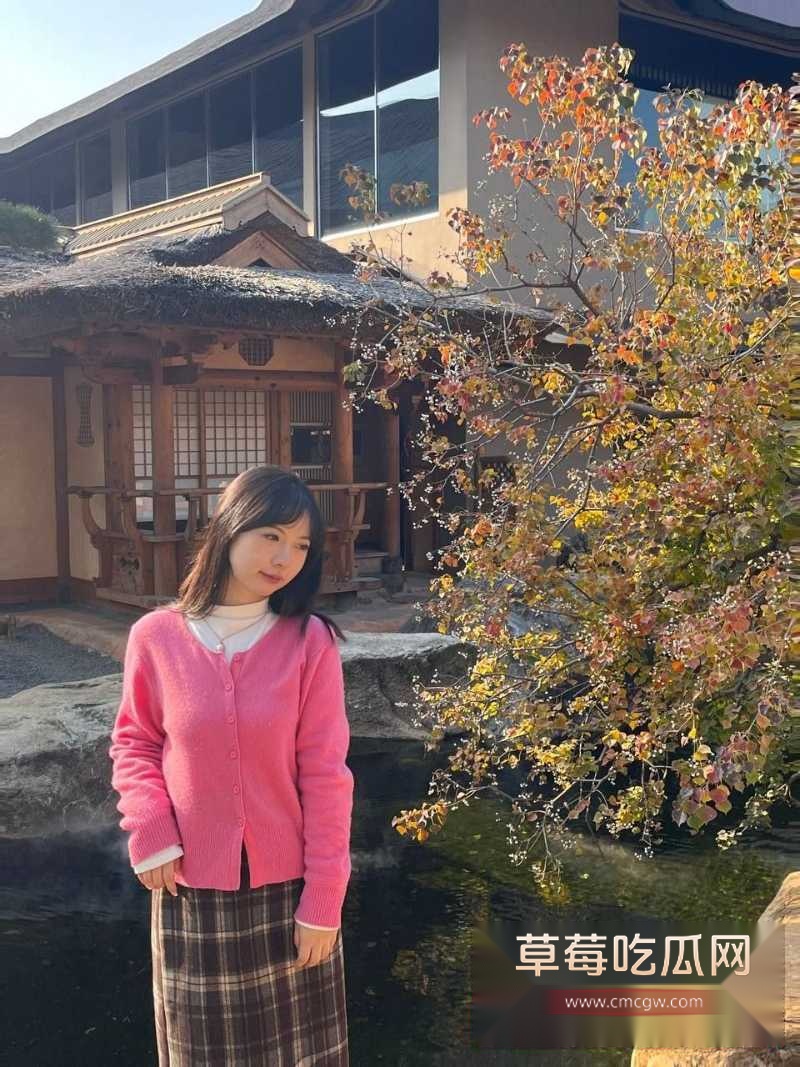 张苇 3 张苇 3