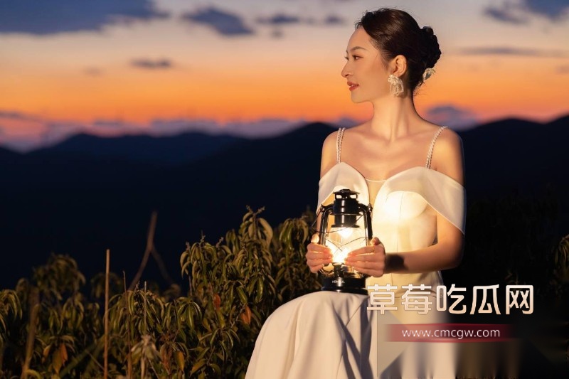 成都人妻 12