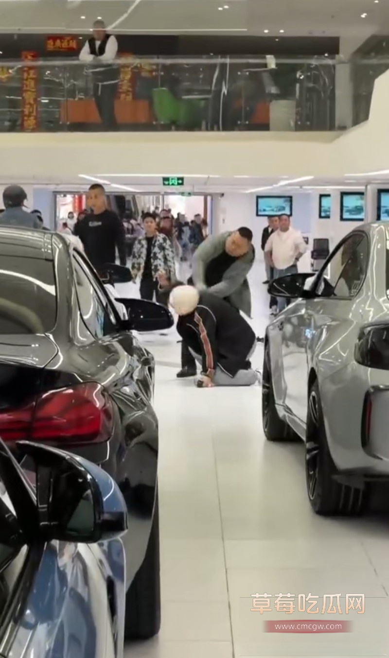 八达汽车12 八达汽车12