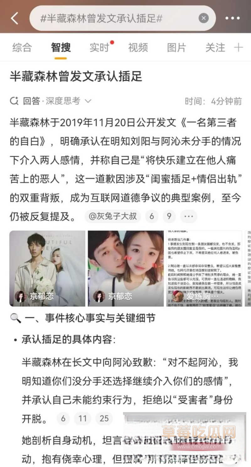 刘阳出轨半藏森林 5