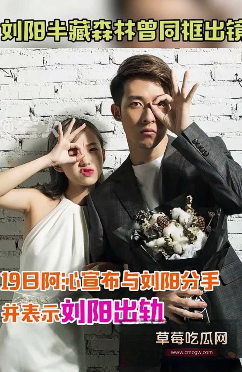 刘阳出轨半藏森林 18