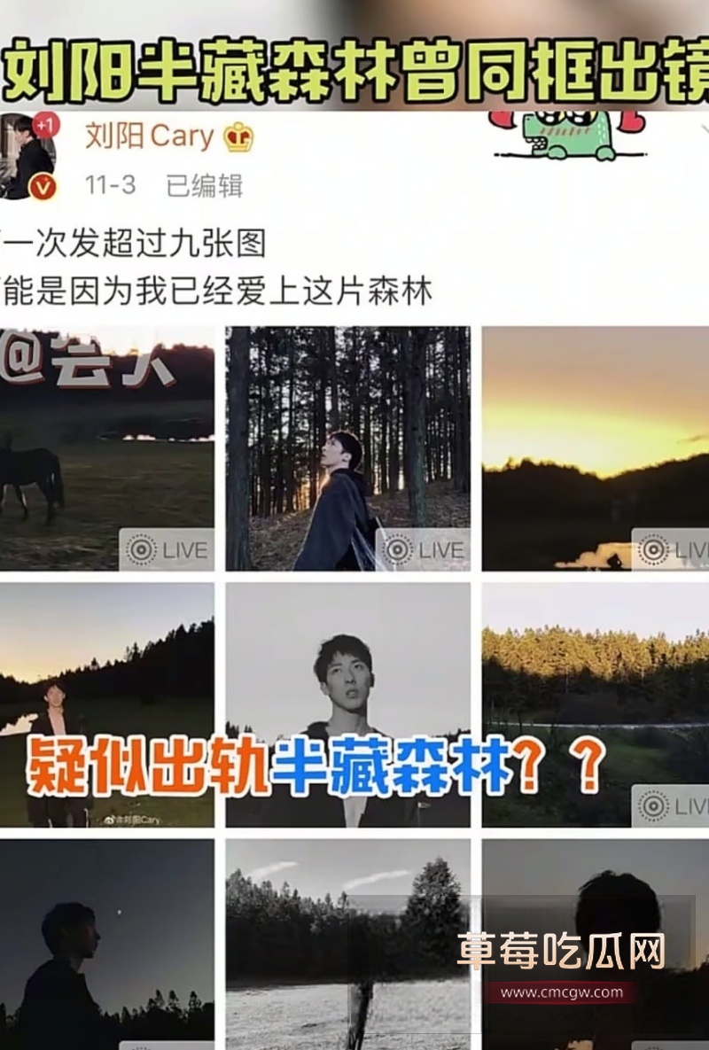 刘阳出轨半藏森林 23