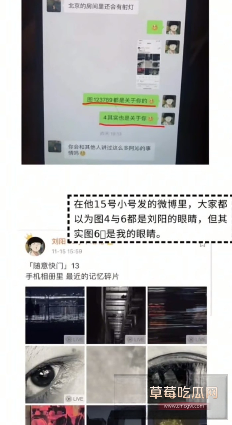 刘阳出轨半藏森林 25